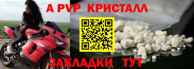 эйфоретик Донской